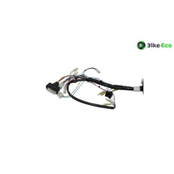 Faisceau électrique APRILIA RXV 450 2006 à 2009