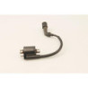 Bobine d'allumage YAMAHA YP 125 MAJESTY 2003 à 2006