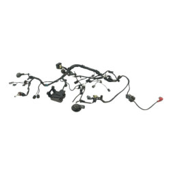 Faisceau électrique KAWASAKI ER6 650 N 2012 à 2016