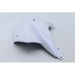 Ecope de radiateur droite SUZUKI GW 250 INAZUMA 2012 à 2015