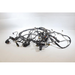 Faisceau électrique DUCATI MONSTER 695 2006 à 2007