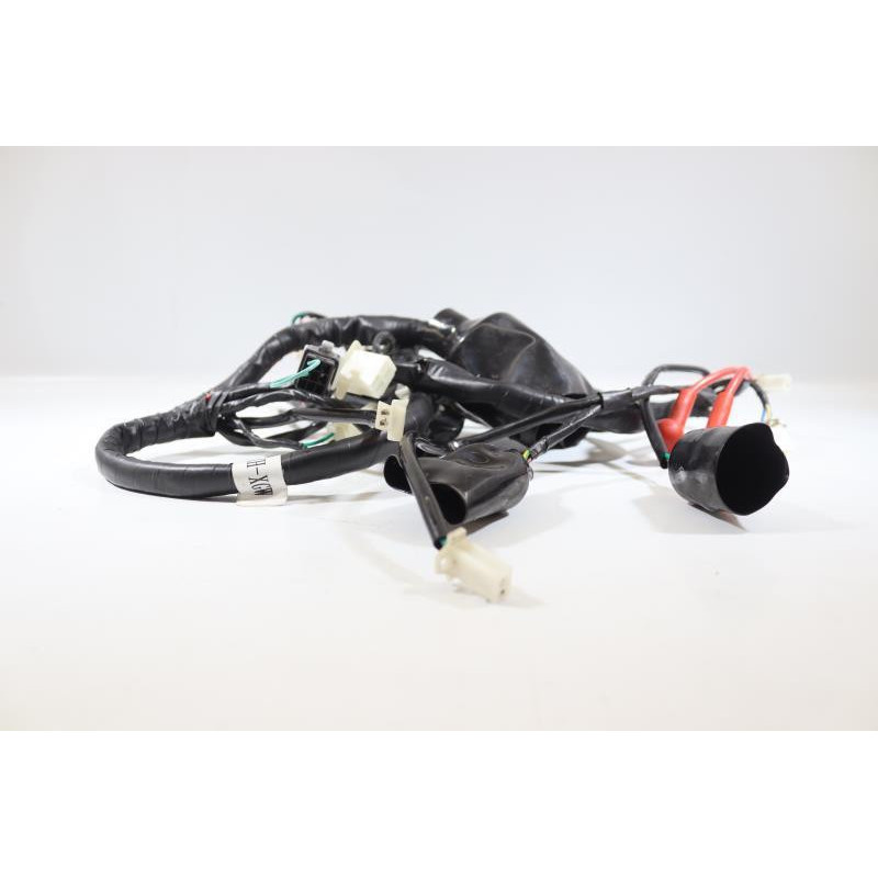 Faisceau électrique JM MOTORS MIA RS 50 2020 2021