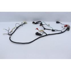 Faisceau électrique NECO ONE RACING 50 2020 à 2021