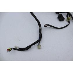 Faisceau électrique YAMAHA NEOS 50 4 2009 à 2010