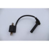 Bobine d'allumage YAMAHA YZF 450 2005 à 2005
