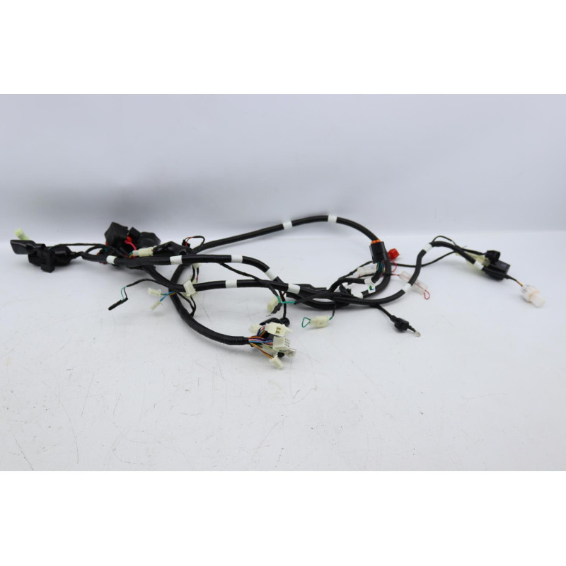 Faisceau électrique TNT MOTOR ROMA 50 2023 à 2024