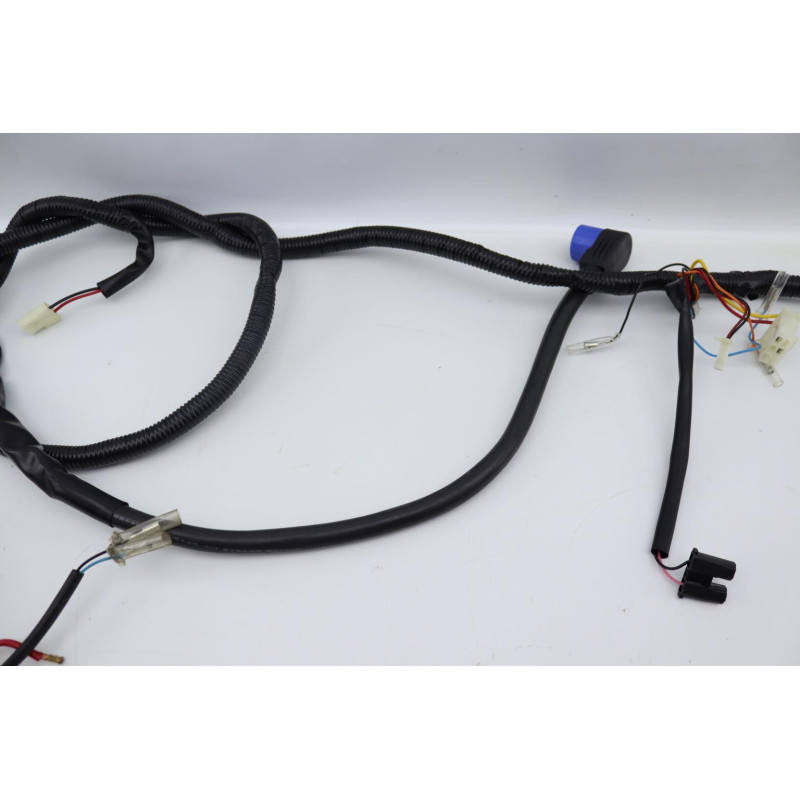 Faisceau électrique EASY WATTS E RETRO 125 MAX ELECTRIQUE 2021 à 2024