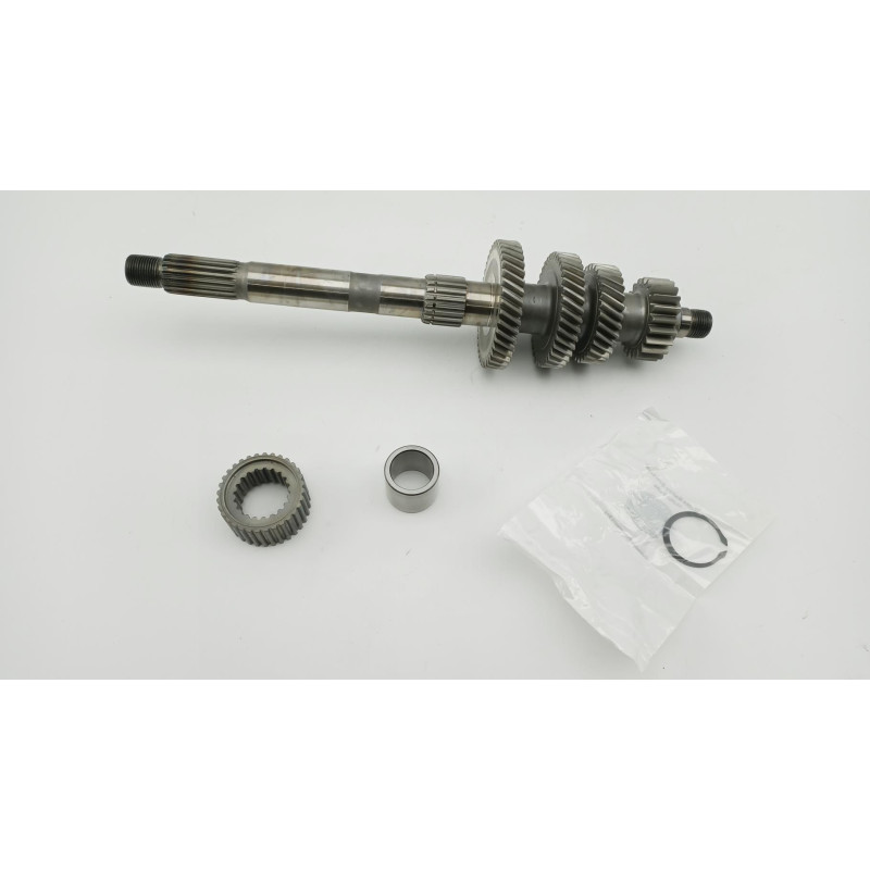 Arbre de transmission HARLEY DAVIDSON FXDLS 1745 DYNA LOW RIDER S 2018 à 2020