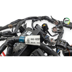 Faisceau électrique YAMAHA MT09 900 ABS 2024 à 2026