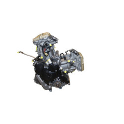 Moteur DUCATI STREETFIGHTER 1098 S 2009 à 2013