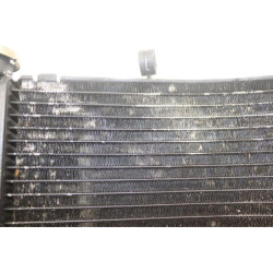 Radiateur d'eau HONDA CBR 900 RR FIREBLADE 2000 à 2001