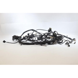 Faisceau électrique DUCATI MONSTER 695 2006 à 2007