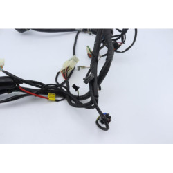 Faisceau électrique DAELIM S3 125 2011 à 2012
