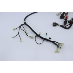 Faisceau électrique NECO ONE RACING 50 2020 à 2021
