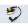 Bobine d'allumage PIAGGIO VESPA LX 125 1998 à 2000