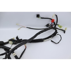 Faisceau électrique YAMAHA NEOS 50 4 2009 à 2010