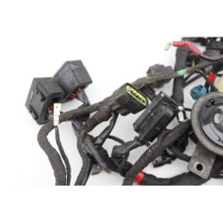 Faisceau électrique DUCATI MONSTER 1200 S ABS 2014 à 2016
