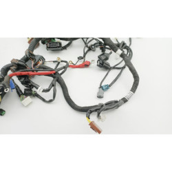 Faisceau électrique HUSQVARNA VITPILEN 401 2020 à 2024