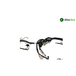 Faisceau électrique APRILIA RXV 450 2006 à 2009