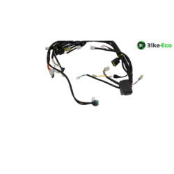 Faisceau électrique APRILIA RXV 450 2006 à 2009