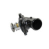 Calorstat CF MOTO NK 800 SPORT ABS 2023 à 2025