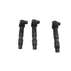 Bobine d'allumage TRIUMPH TRIDENT 660 2021 à 2025