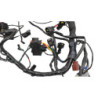 Faisceau électrique TRIUMPH TRIDENT 660 2021 à 2025
