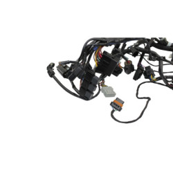 Faisceau électrique TRIUMPH TRIDENT 660 2021 à 2025