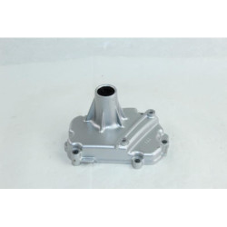Carter moteur gauche YAMAHA FZS 1000 FAZER 2001 à 2005