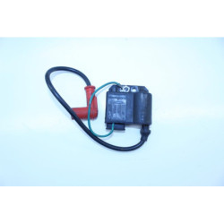 Boitier CDI RIEJU MRX 50 2001 à 2008