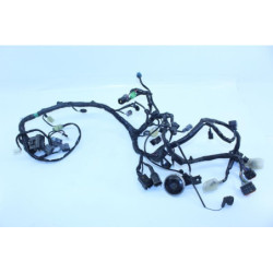 Faisceau électrique KAWASAKI NINJA 300 2013 à 2015