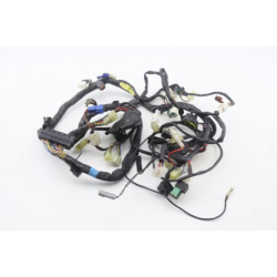 Faisceau électrique YAMAHA TDM 900 2002 à 2011