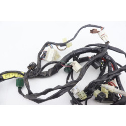 Faisceau électrique YAMAHA TDM 900 2002 à 2011