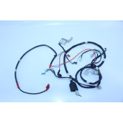 Faisceau électrique SYM FIDDLE III 50 2014 à 2016