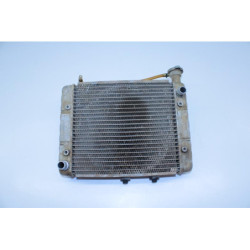 Radiateur d'eau CAN AM OUTLANDER 650 MAX EFI 2008 à 2013