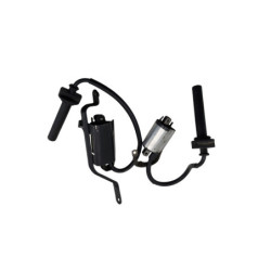 Bobine d'allumage YAMAHA TDM 900 ABS 2002 à 2014