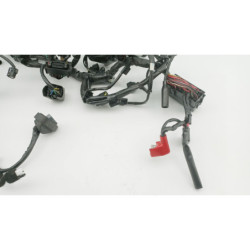 Faisceau électrique HONDA CBR 650 R E CLUTCH ABS 2024 à 2024
