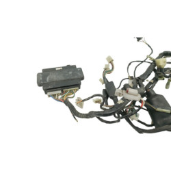 Faisceau électrique KAWASAKI GTR 1000 1986 à 2004