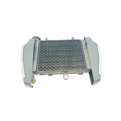 Radiateur d'eau VOGE AC 300 ABS 2020 à 2025