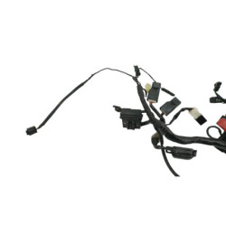 Faisceau électrique BMW G 310 R 2016 à 2020