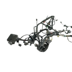 Faisceau électrique KAWASAKI ER6 650 N 2005 à 2008