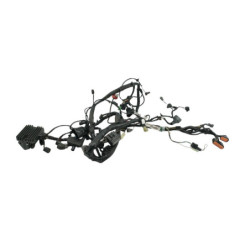 Faisceau électrique KAWASAKI ER6 650 N 2005 à 2008