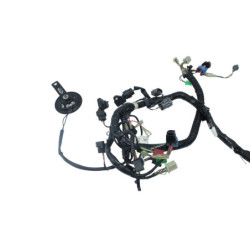 Faisceau électrique SUZUKI VZ 1600 MARAUDER 2004 2006