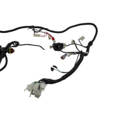 Faisceau électrique ORCAL ARIOS 50 10 2021 à 2024