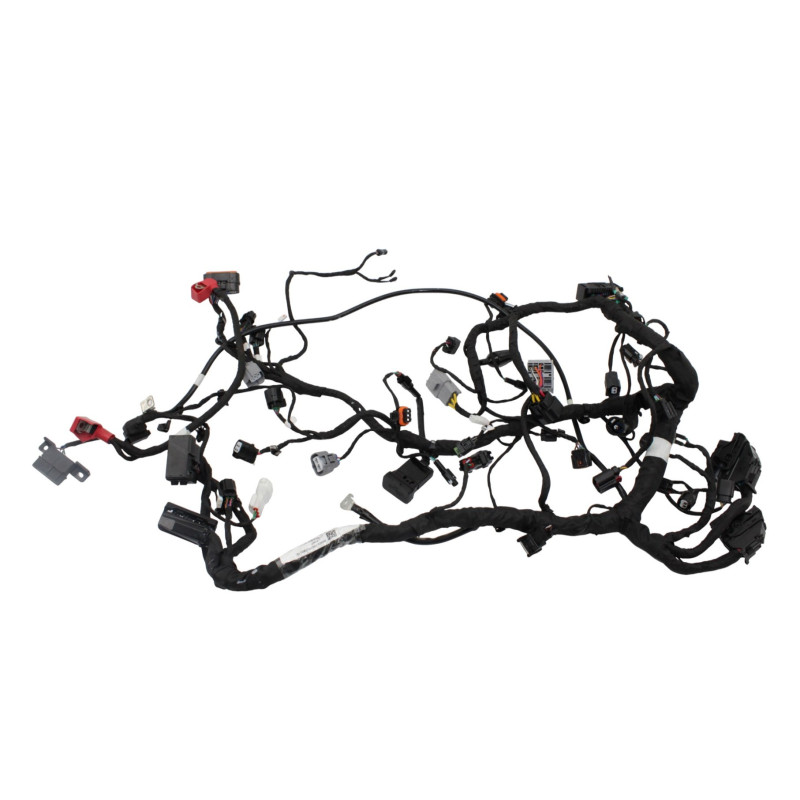 Faisceau électrique CF MOTO NK 800 SPORT ABS 2023 à 2025