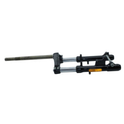 Fourche complète PEUGEOT CITYSTAR 50 2011 à 2017