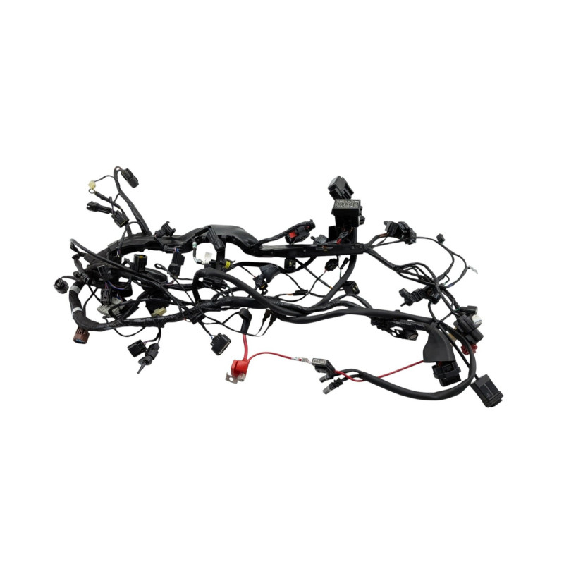 Faisceau électrique TRIUMPH STREET TRIPLE 765 RS ABS 2023 à 2024