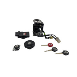 Kit neiman complet codé YAMAHA XP 530 TMAX ABS 2012 à 2016