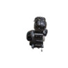 Moteur INDIAN MOTORCYCLE CHIEF DARK HORSE 1890 2021 à 2026
