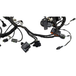 Faisceau électrique CF MOTO SR 450 ABS 2023 à 2026